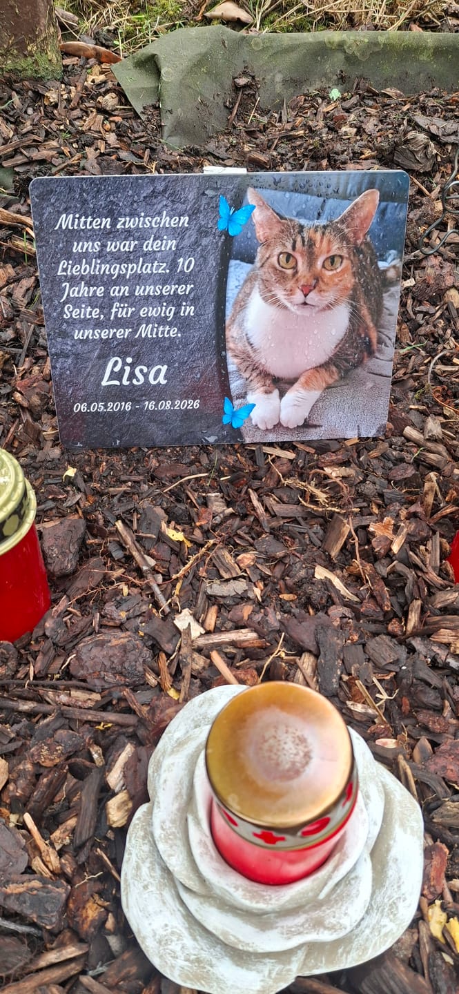Customer photo review of Katzen Gedenktafel mit Foto & Spruch (UV- & Wetterfest)