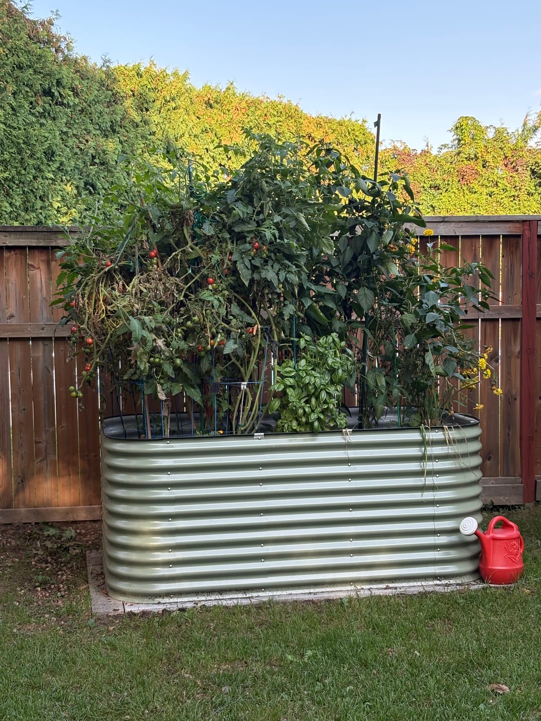 Customer photo review of 17” Tall Modular 9 in 1