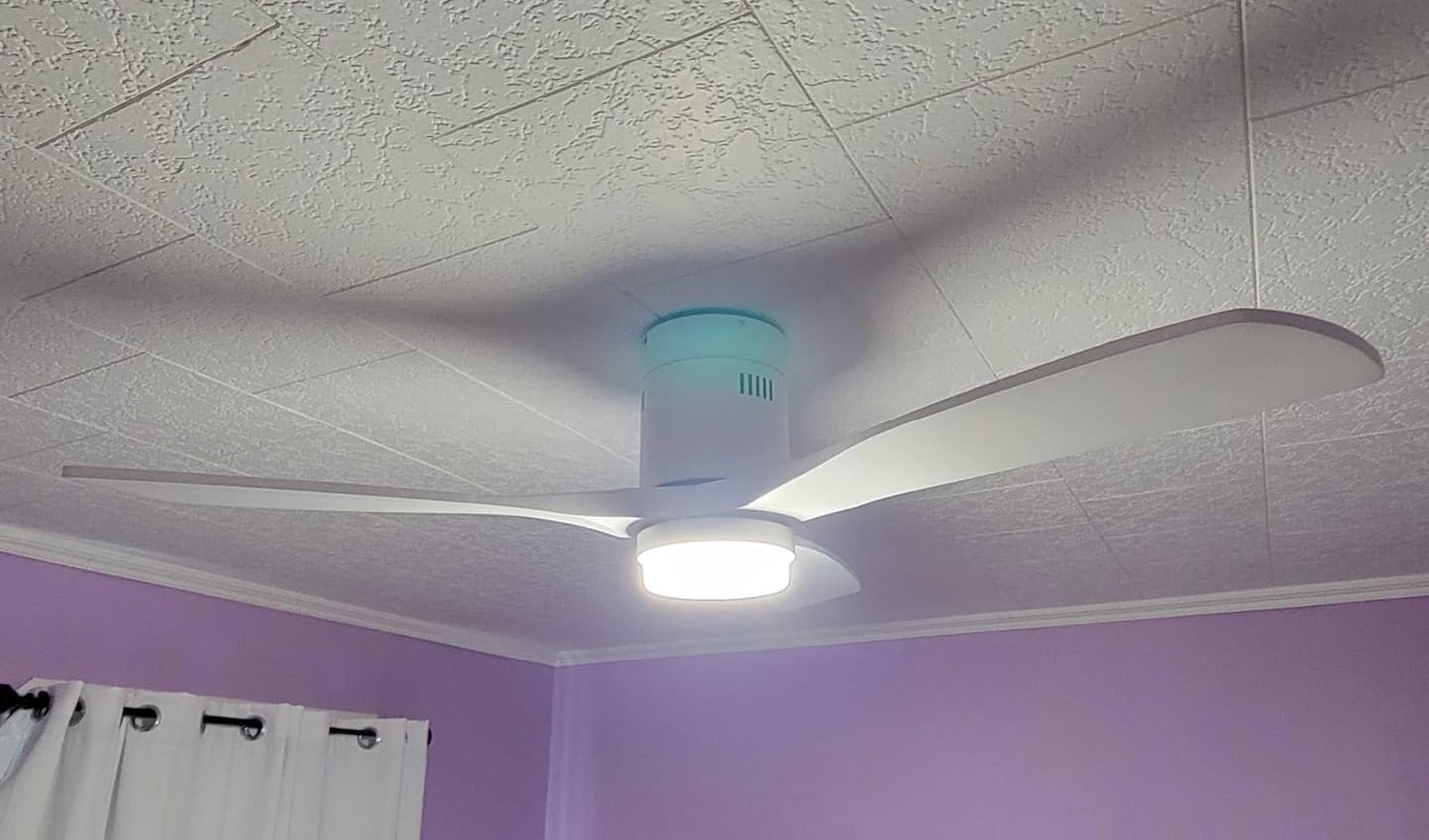 Customer photo review of LUCERA