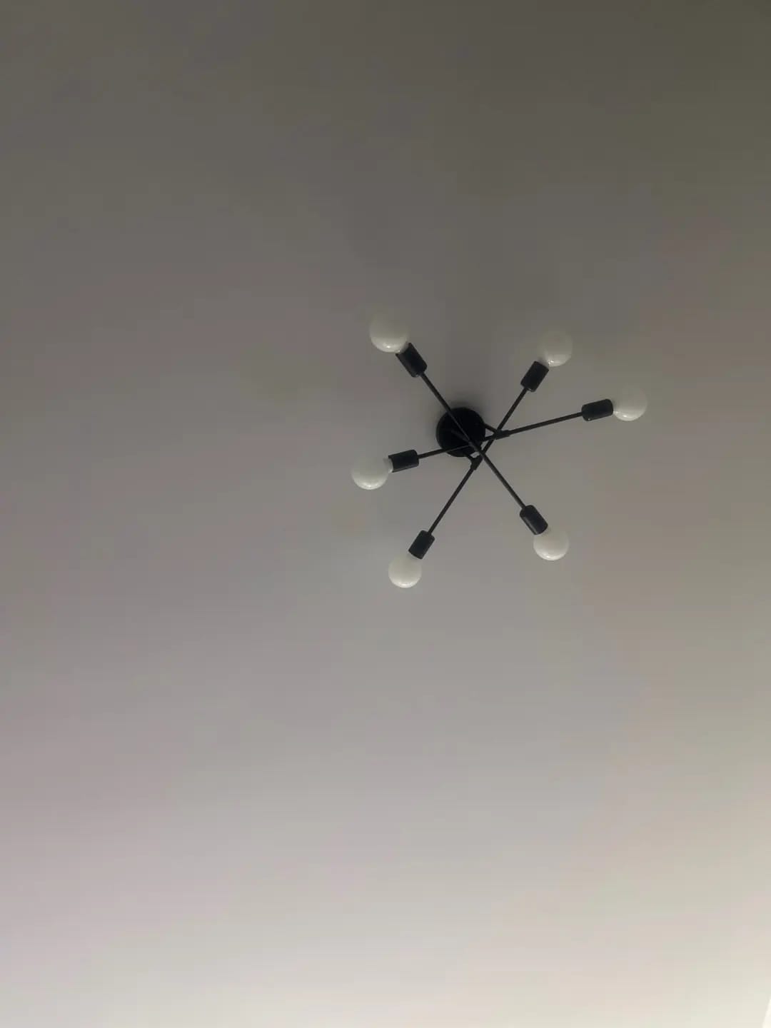 Customer photo review of Iron Ring Chandelier for Dining Table, 25 to 90 cm, Black
