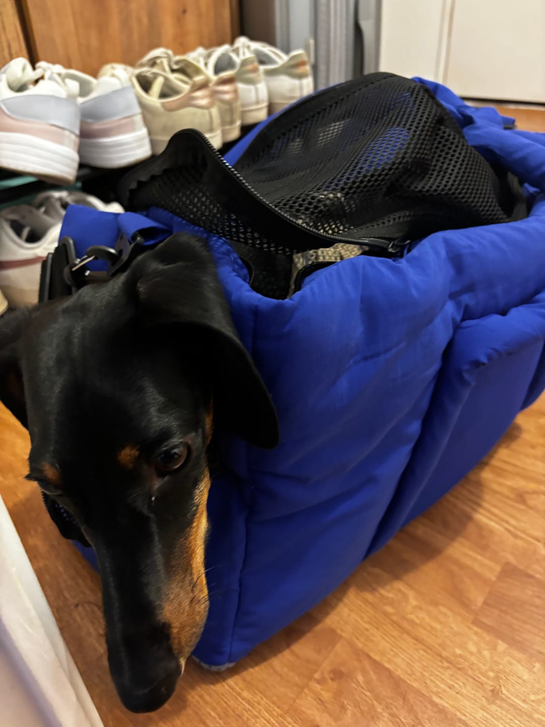 Customer photo review of Sac de voyage bleu