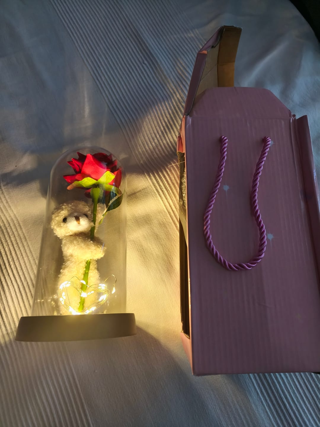 Customer photo review of Osito con Rosa y Corazón luminoso