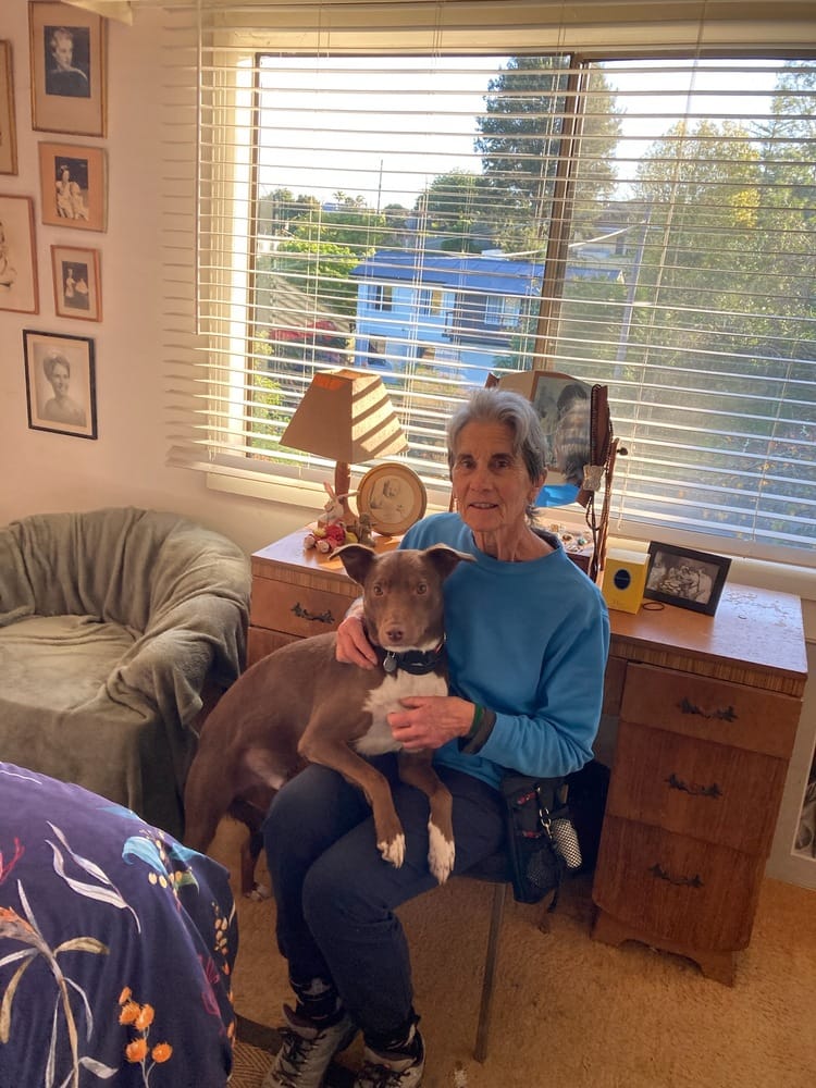 Customer photo review of Difusor Calmante para Perros — CalmPaw