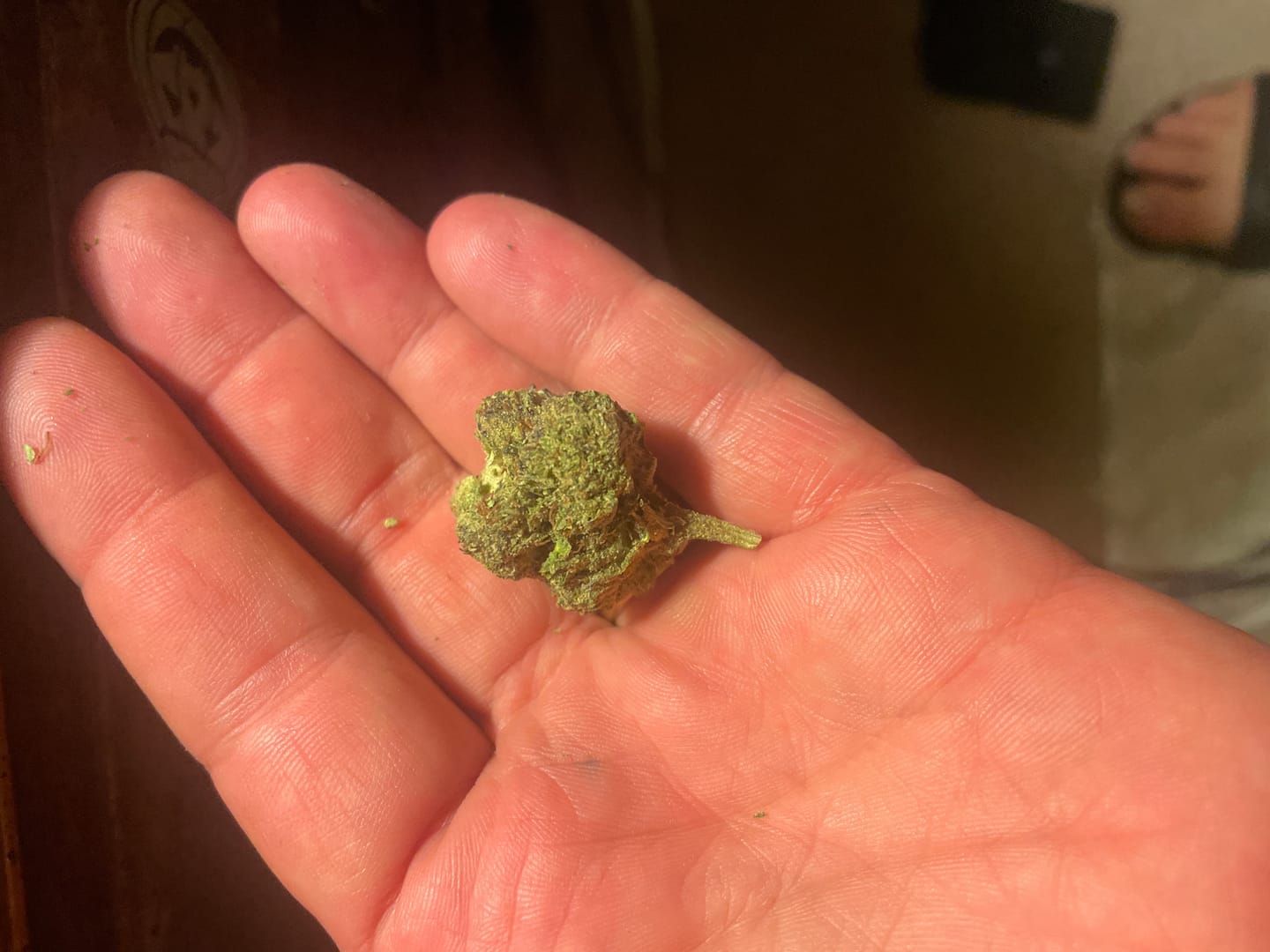 Customer photo review of Silver Surfer THCA Flower