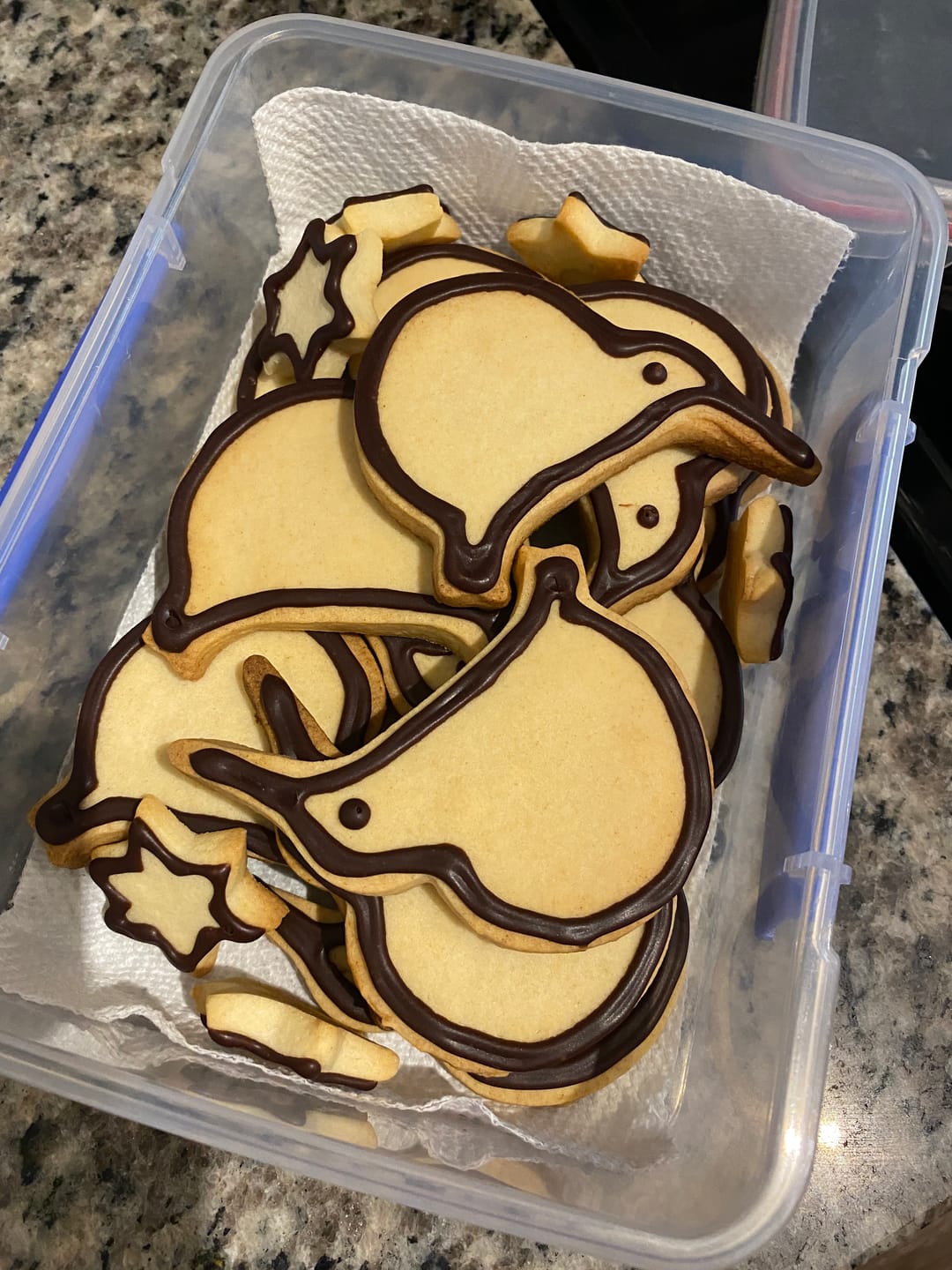 Customer photo review of NZ Cookie Cutters - Fern or Kiwi