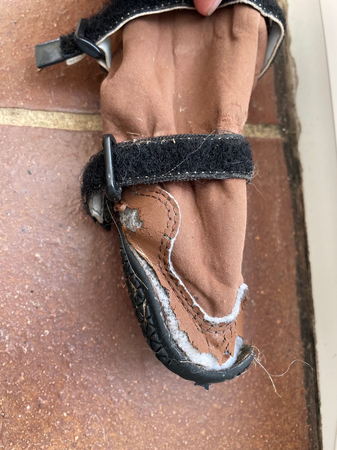 Customer photo review of Dog Rainboots, Waterproof Dog Shoes - Brown