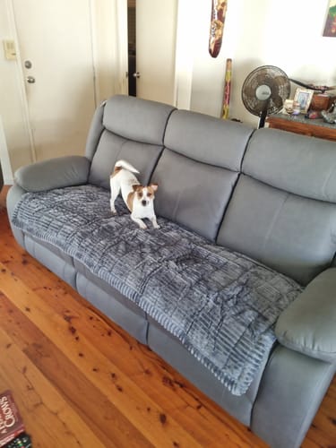 Customer photo review of Cosy Couch - Couch Cover