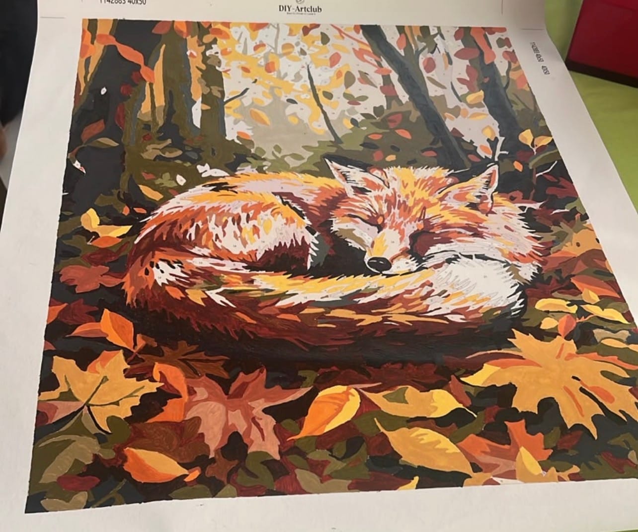 Customer photo review of Sleeping Fox | Paint by Number