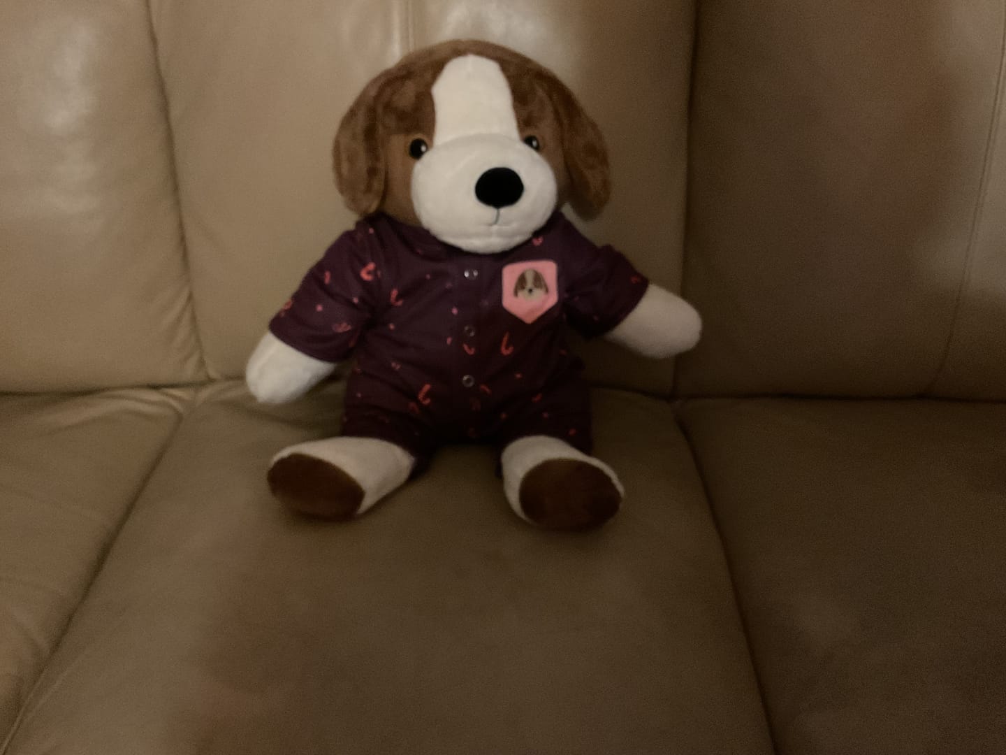 Customer photo review of Hond Kleding Winter Lotgenootje