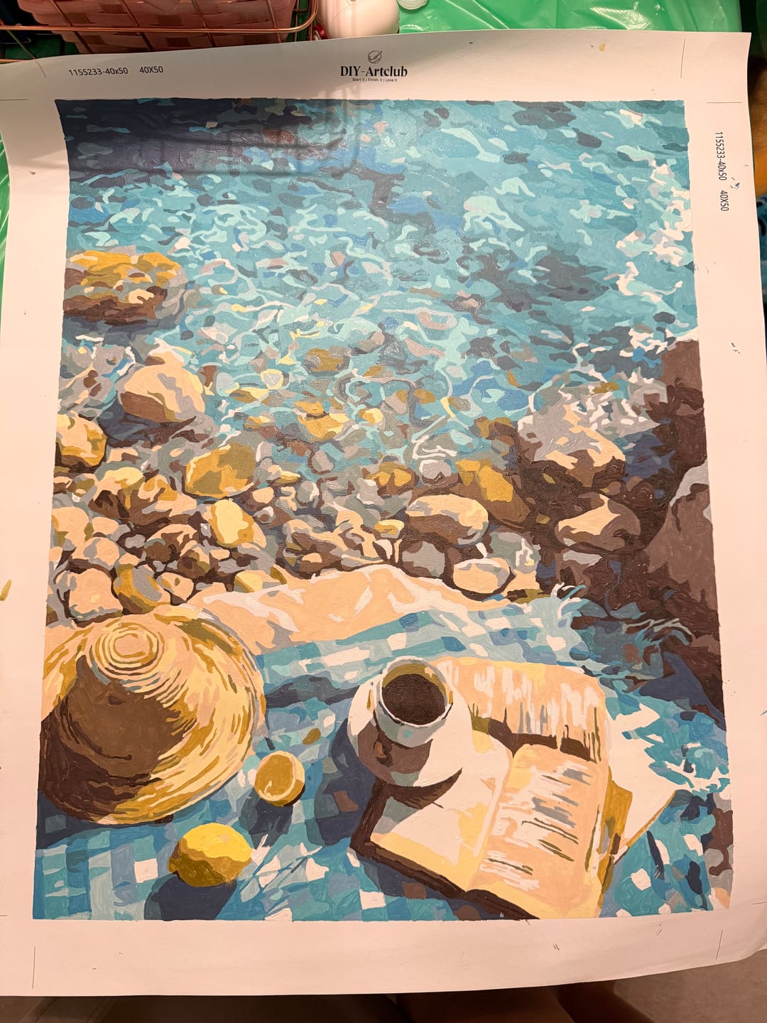 Customer photo review of The Lemon Reader | Paint by Number