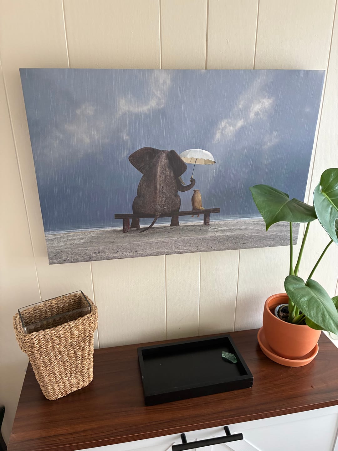 Customer photo review of Elephant And Dog Sit in the Rain