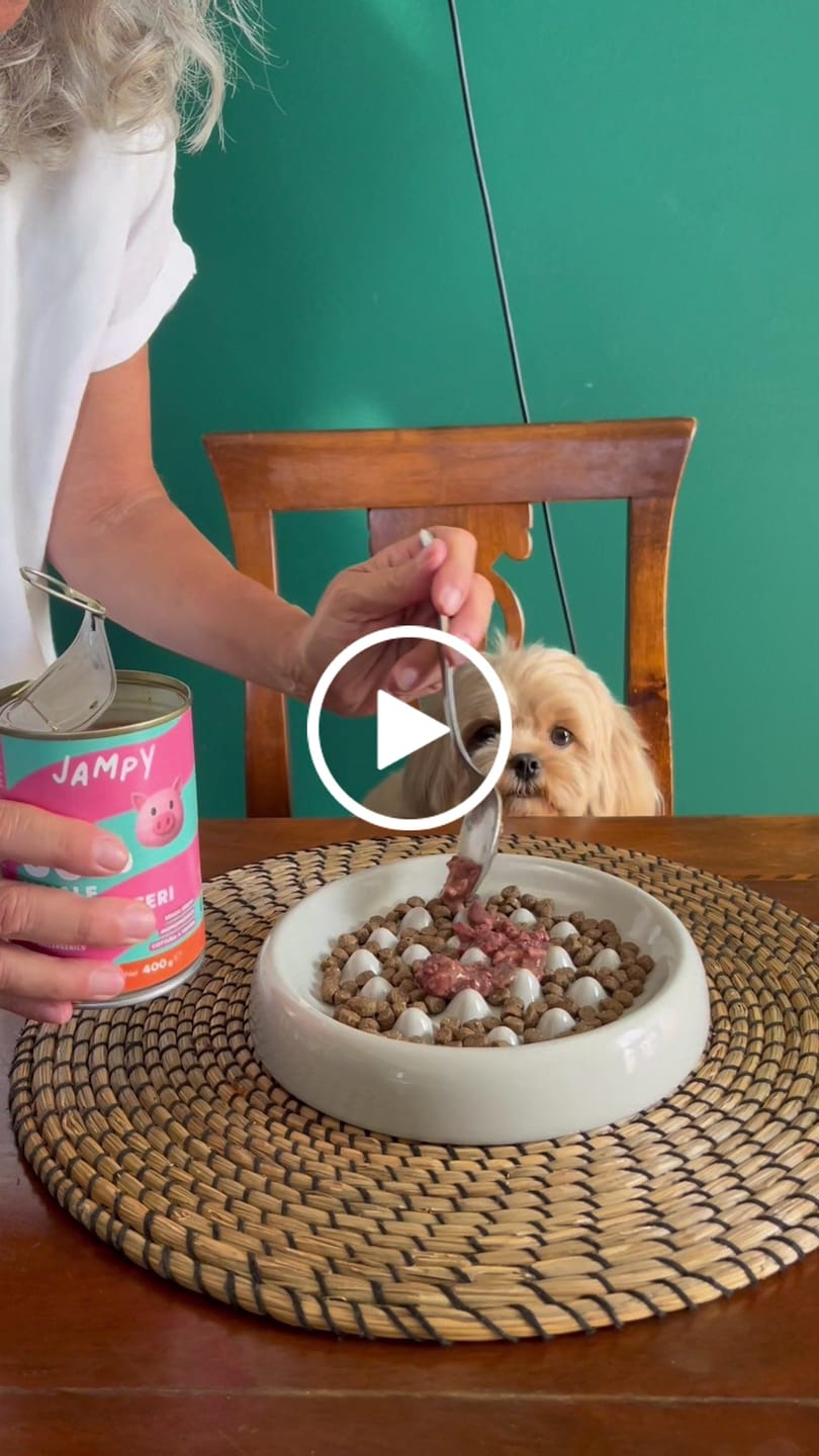 Customer video review of My Name is Maiale