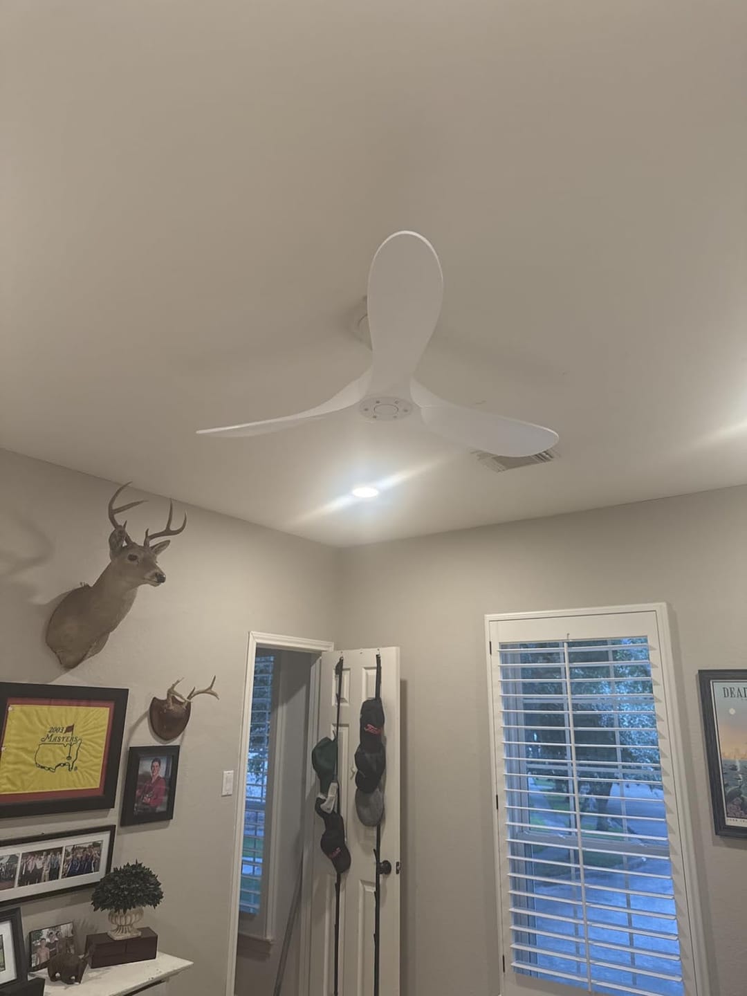 Customer photo review of IVORA