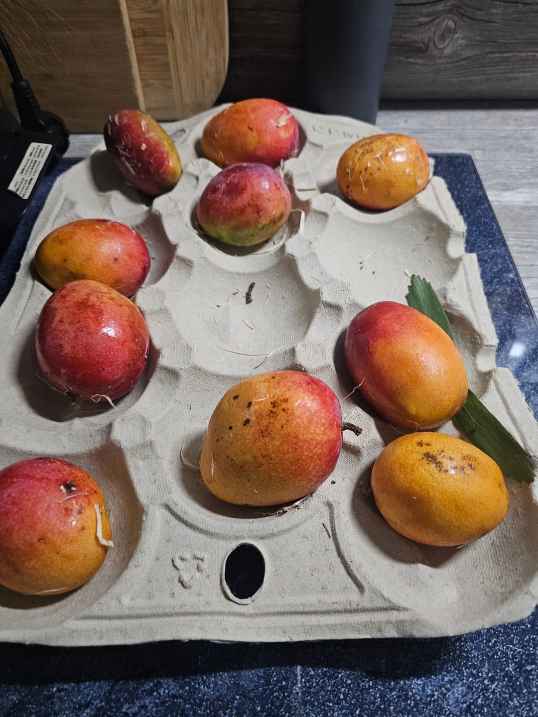 Customer photo review of Baby-Mango Irwin Bio von Julian