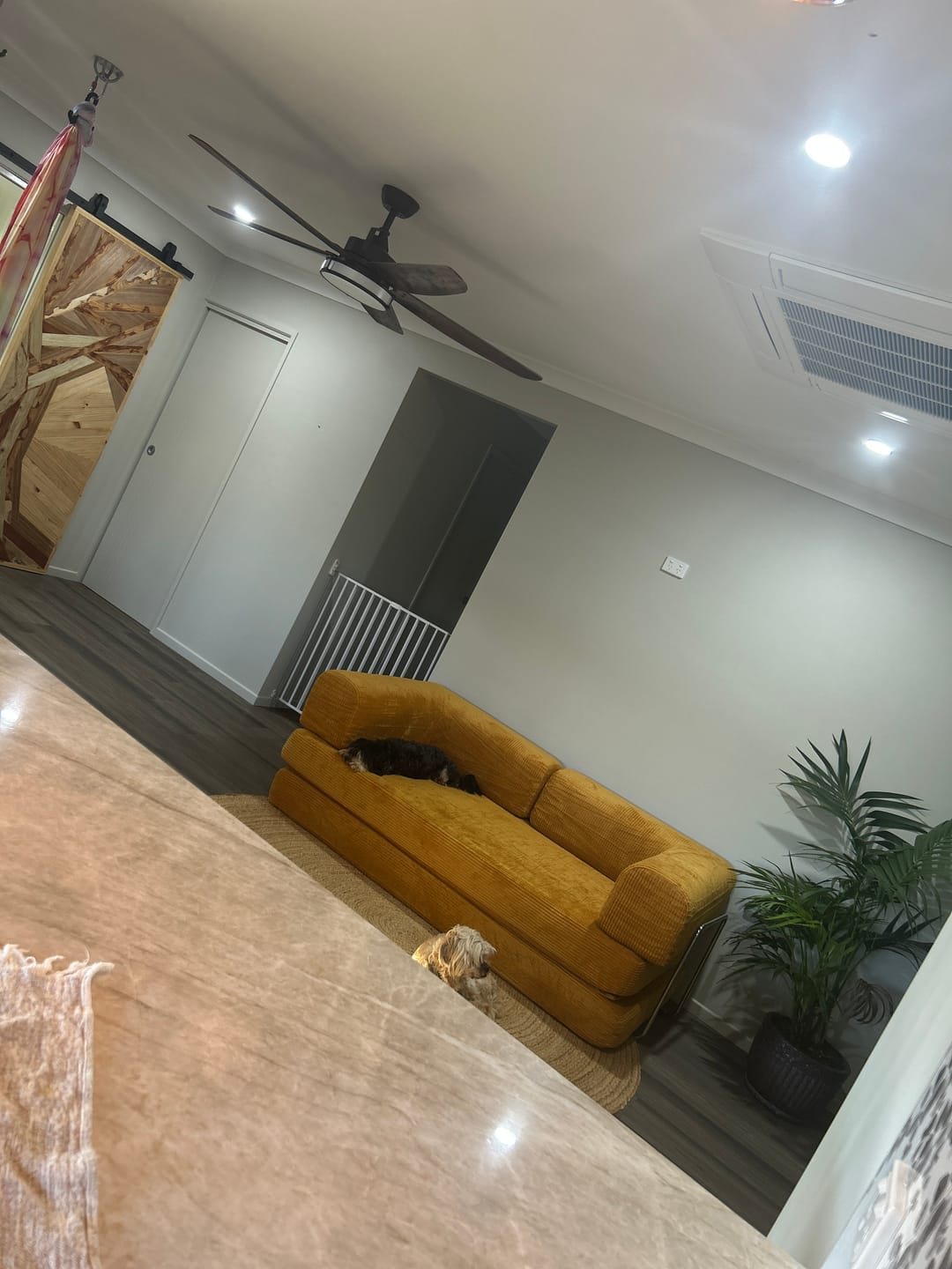 Customer photo review of Nova Sofa Bed-Marigold