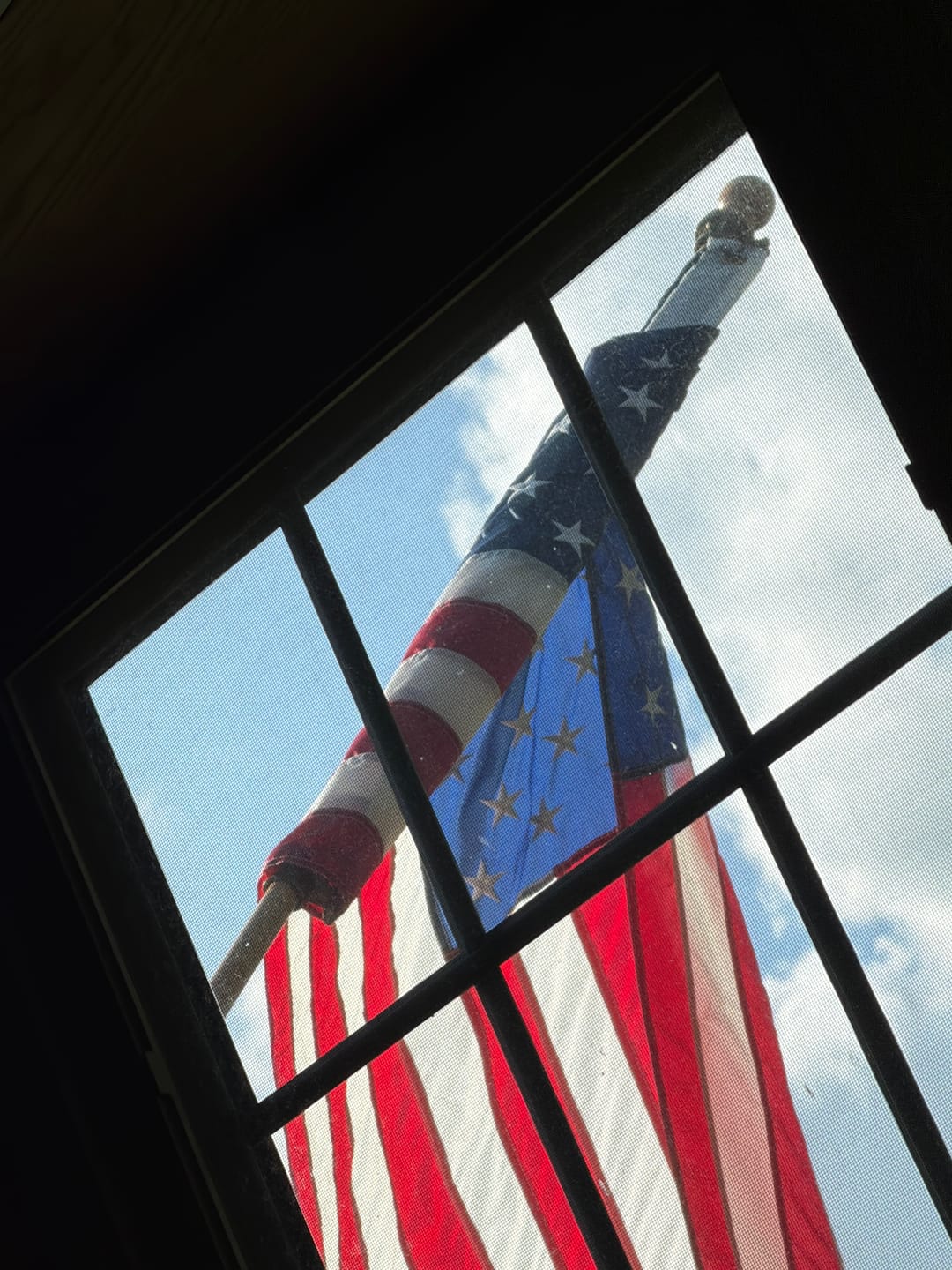 Customer photo review of 3' x 5' American Flag Set