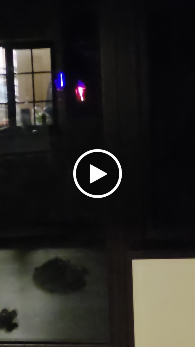 Customer video review of The Arcane II