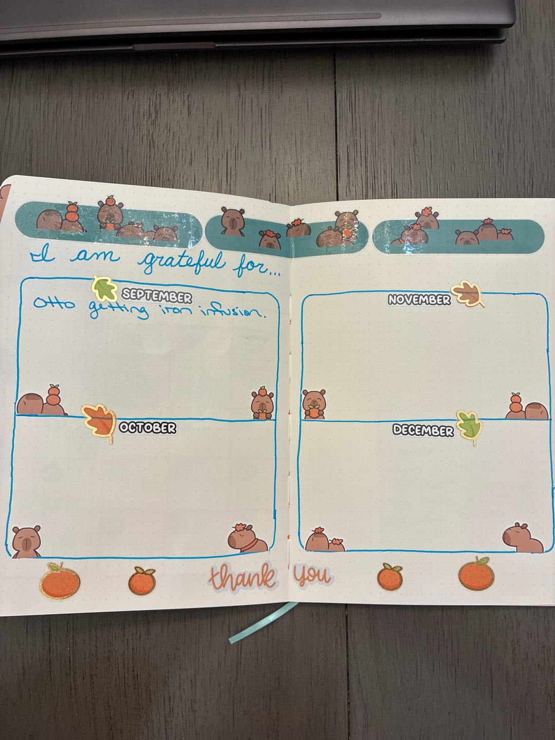 Customer photo review of Autumn Capybaras Variety Sticker Pack