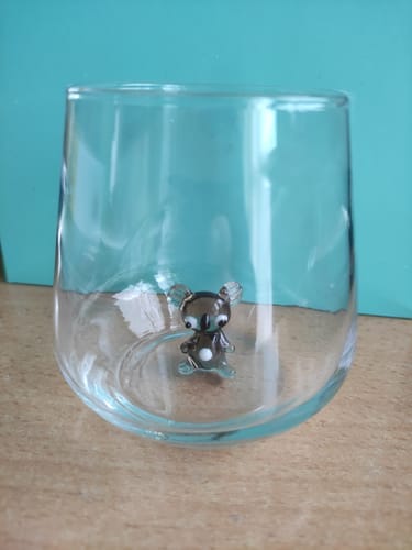 Customer photo review of Koala Glass