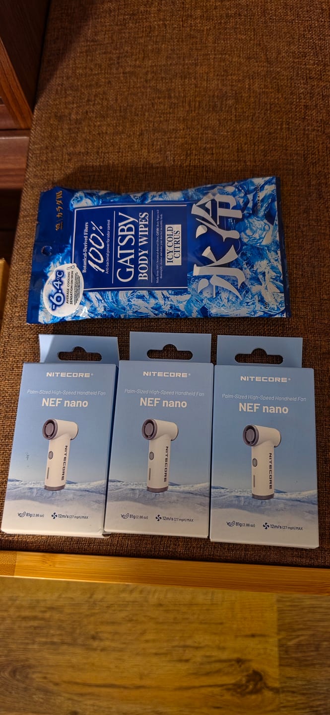 Customer photo review of GATSBY Body Wipes Icy Cold Citrus (Removes Sweat & Body Odour)