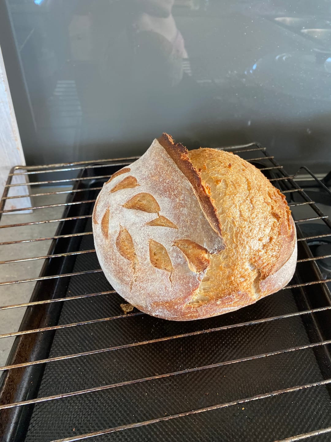Customer photo review of Dehydrated Sourdough Starter Flakes