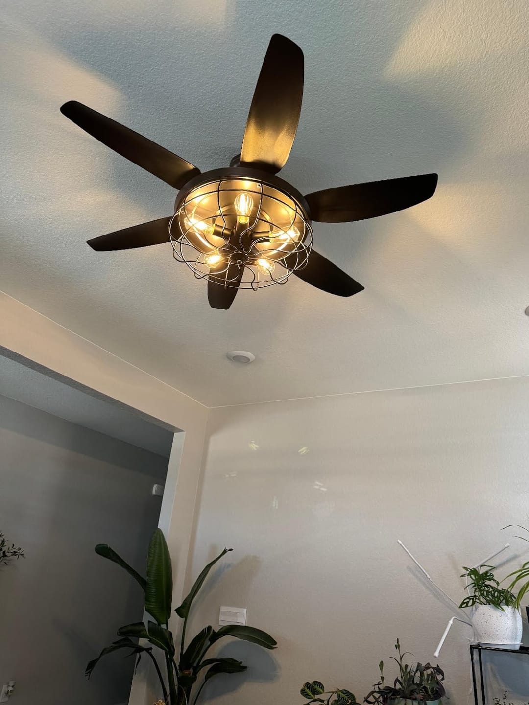 Customer photo review of BRONTE