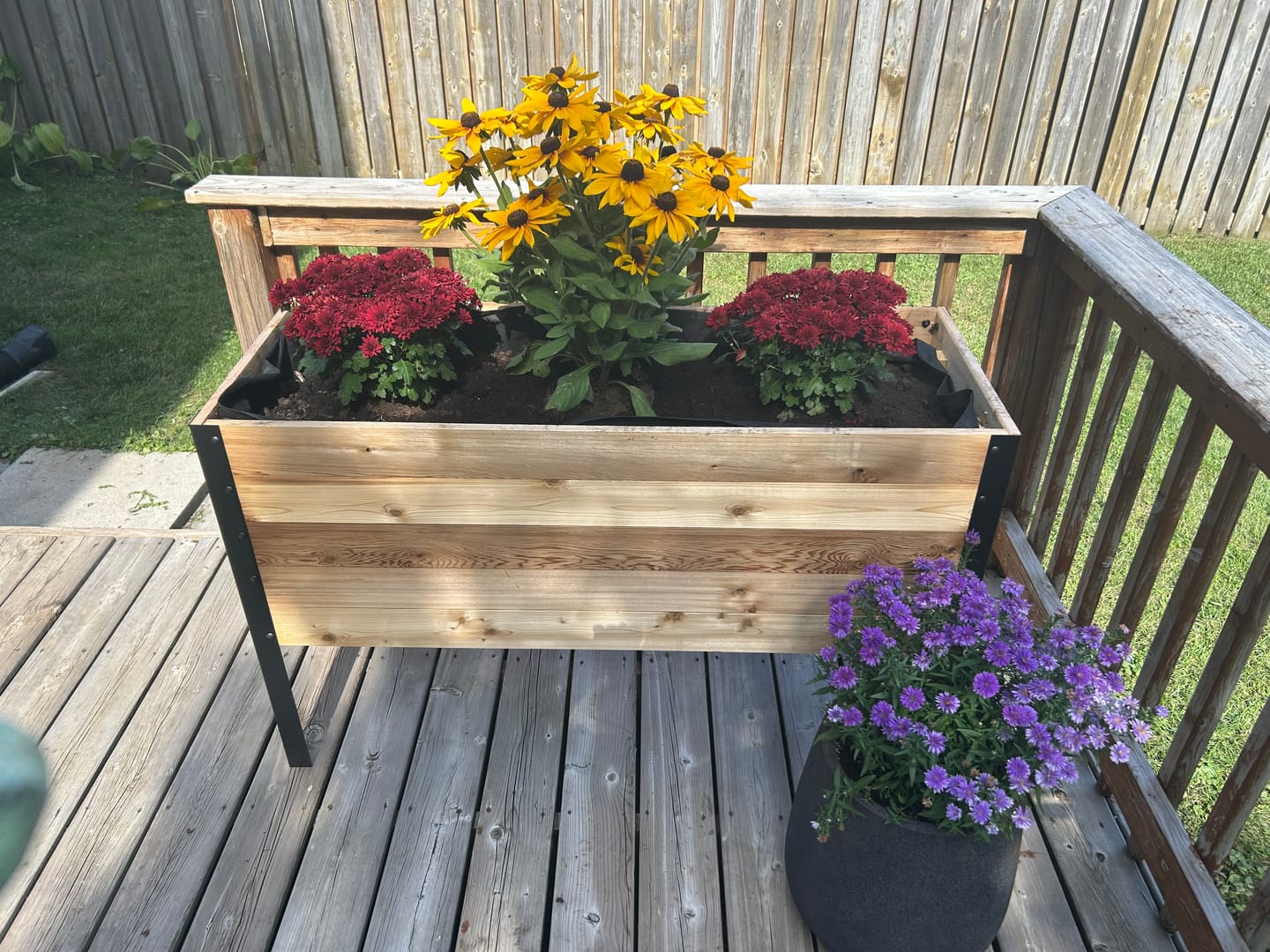 Customer photo review of 18" x 48" Raised Garden Bed - 30" TALL - Select Grade