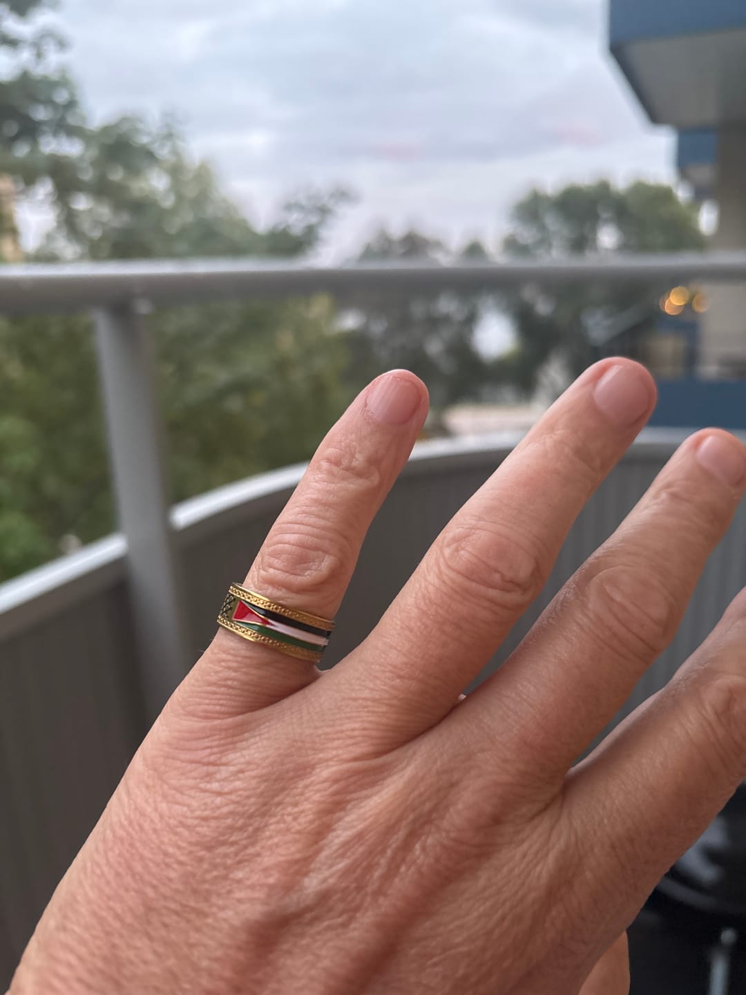 Customer photo review of Palestine Heritage Ring