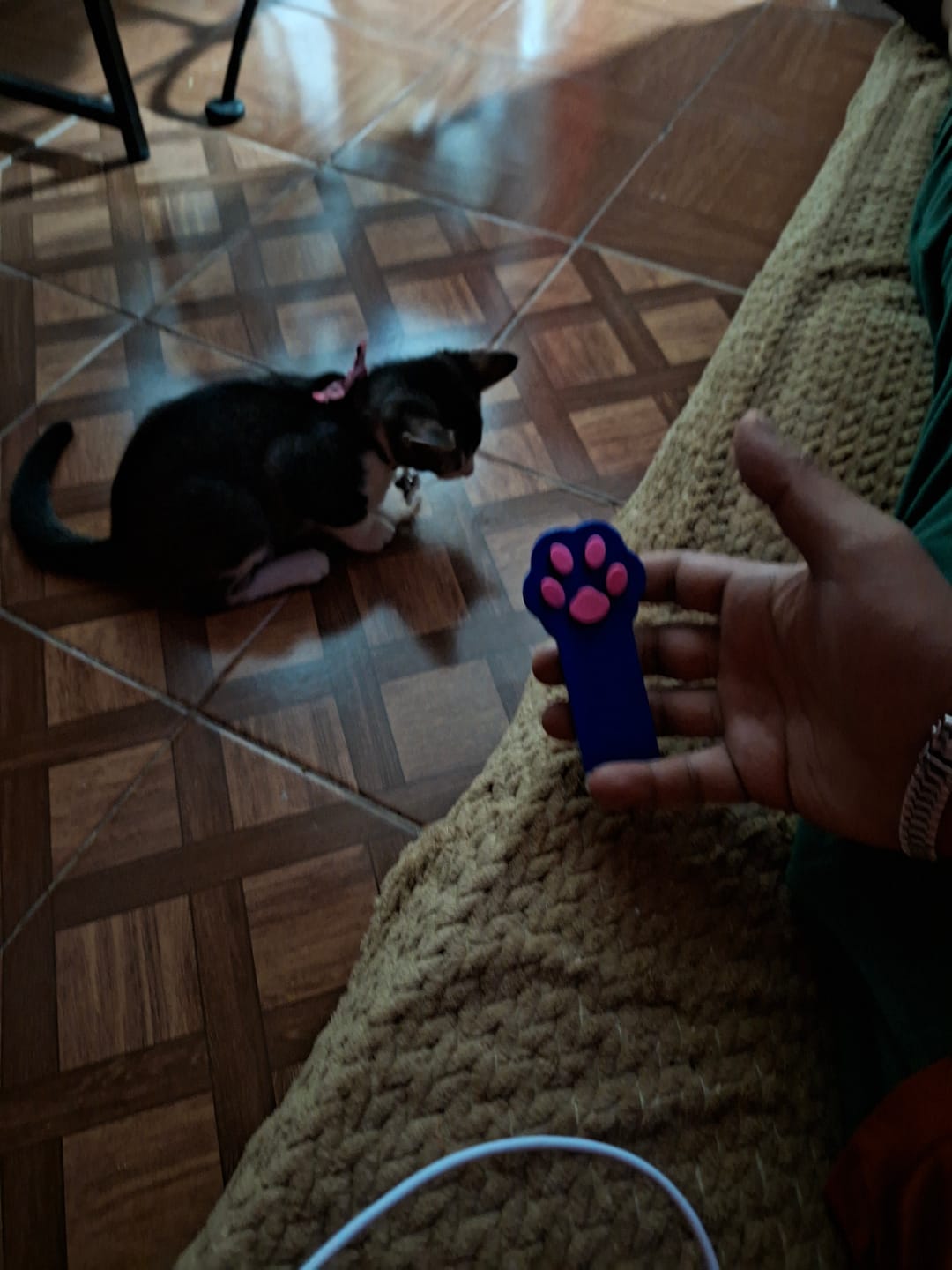 Customer photo review of CT1743 1 Pieza De Juguete De Rayo Laser Para Gato