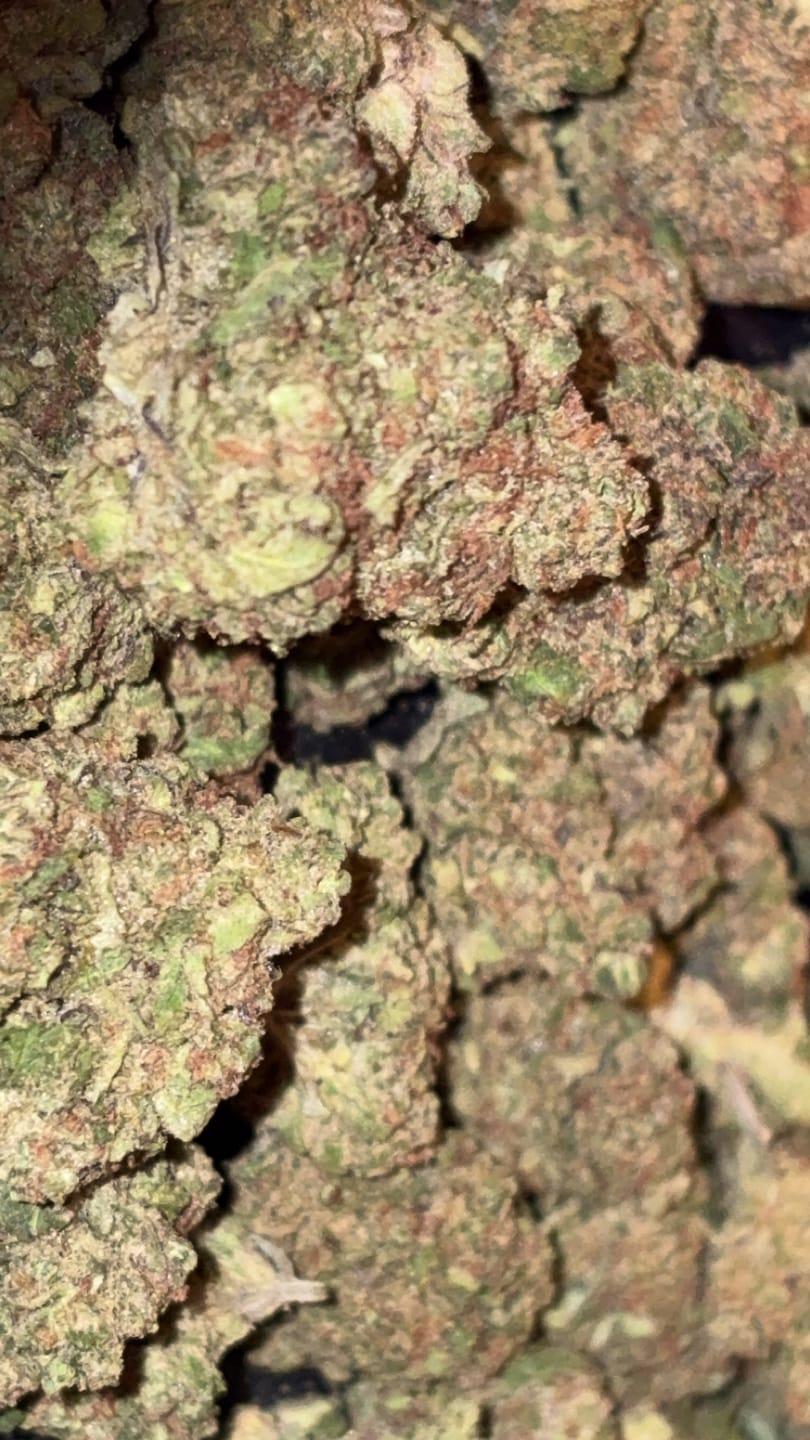 Customer photo review of Frozen Lemons THCA Flower