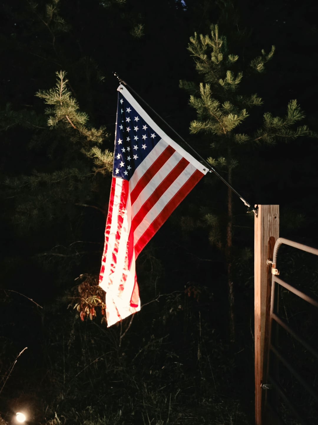 Customer photo review of 3' x 5' American Flag