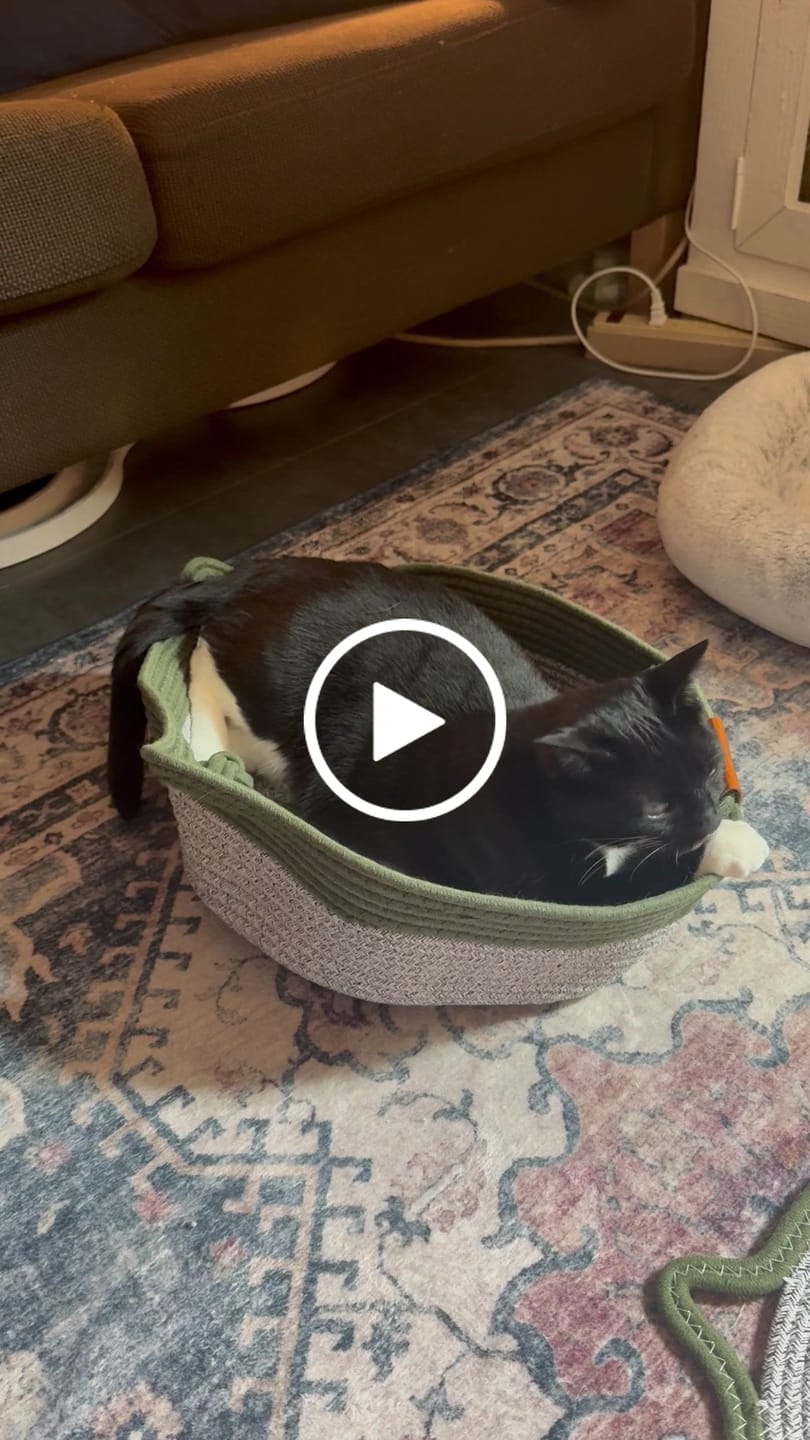 Customer video review of Instinct Basket | Meet the first research-backed natural territory for indoor cats