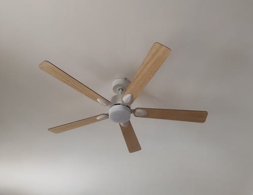 Customer's Mistral teinté Chêne ventilateur de plafond avec cinq pales en bois clair, vu de dessous contre un plafond.