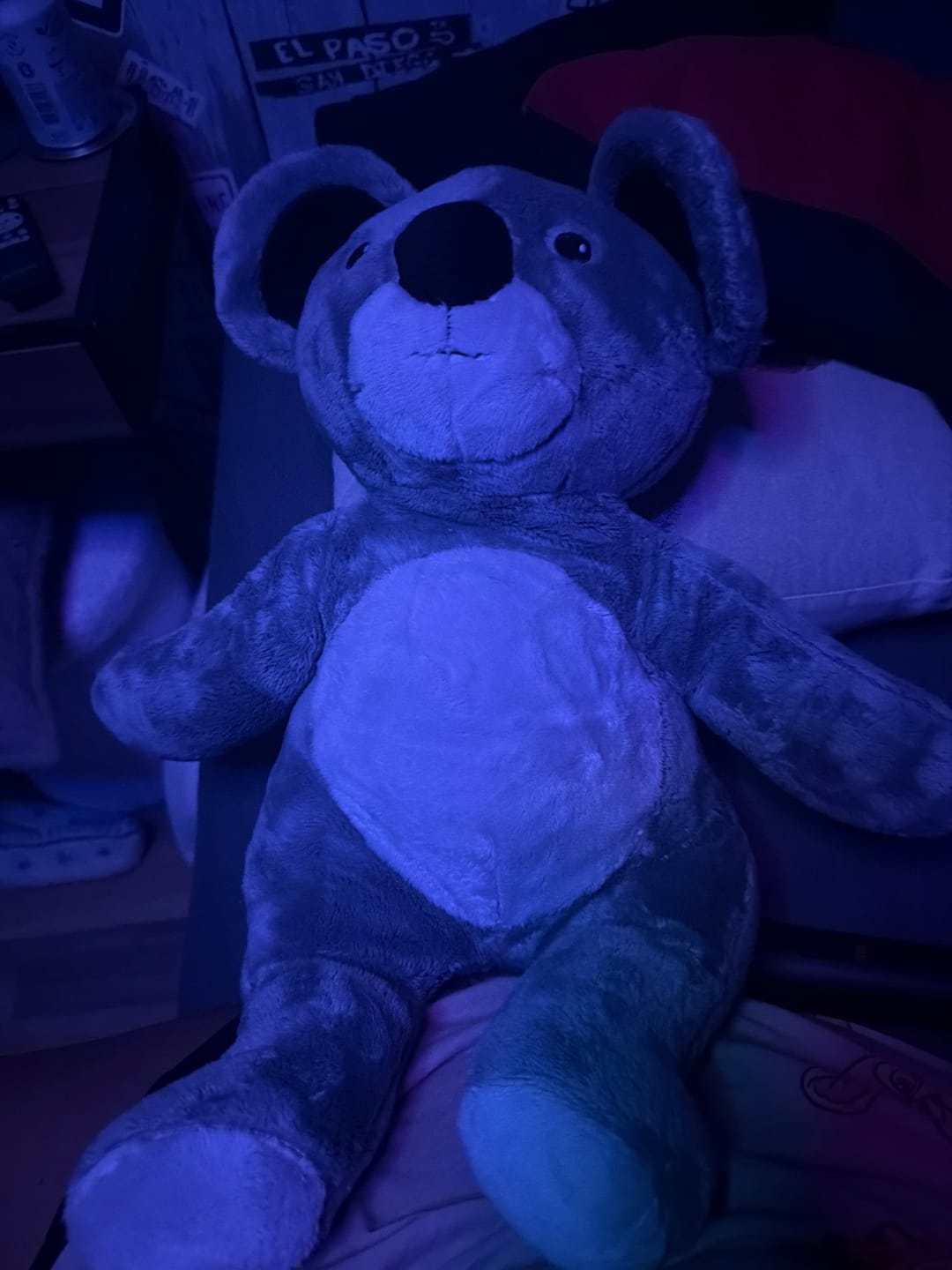 Customer photo review of Lotgenootje Koala 2kg