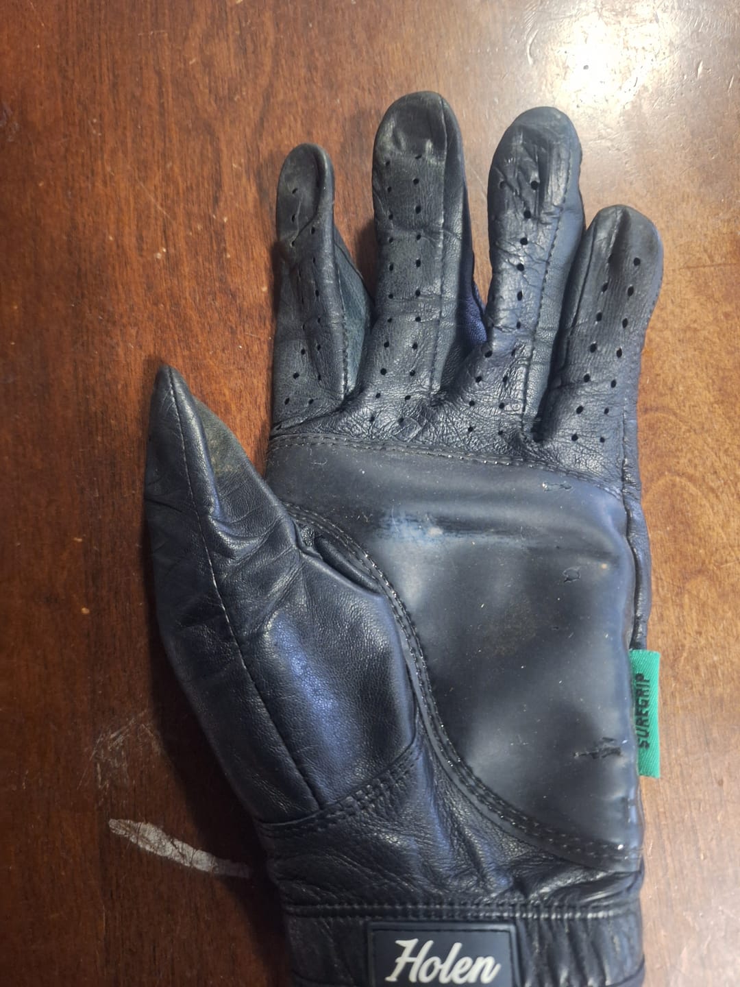 Customer photo review of Holen SureGrip Glove