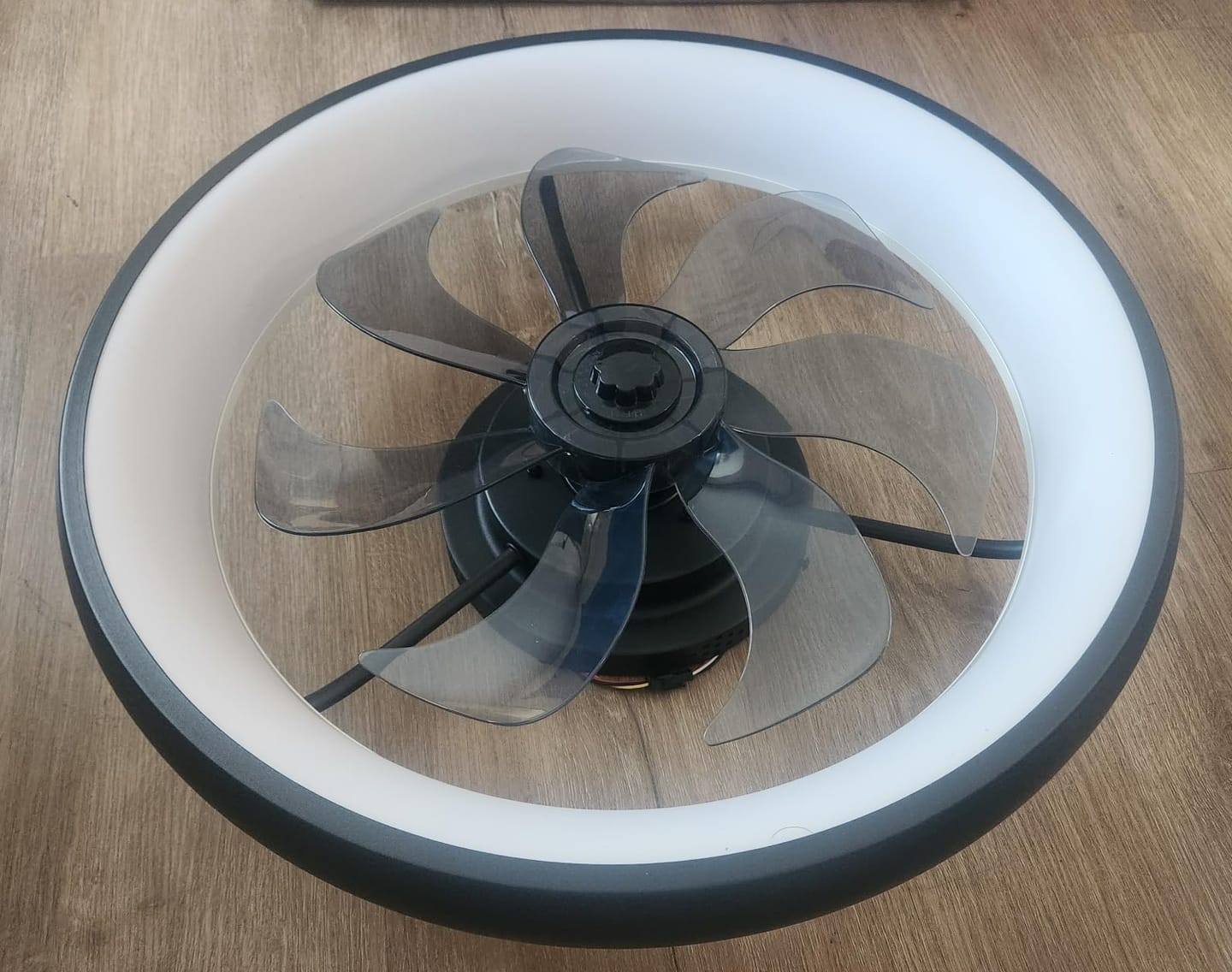 Customer photo review of NERIA