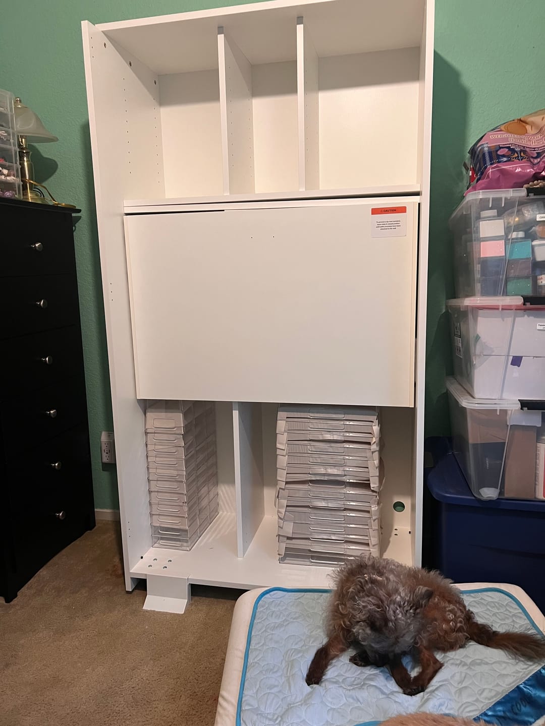Customer photo review of DreamBox 3