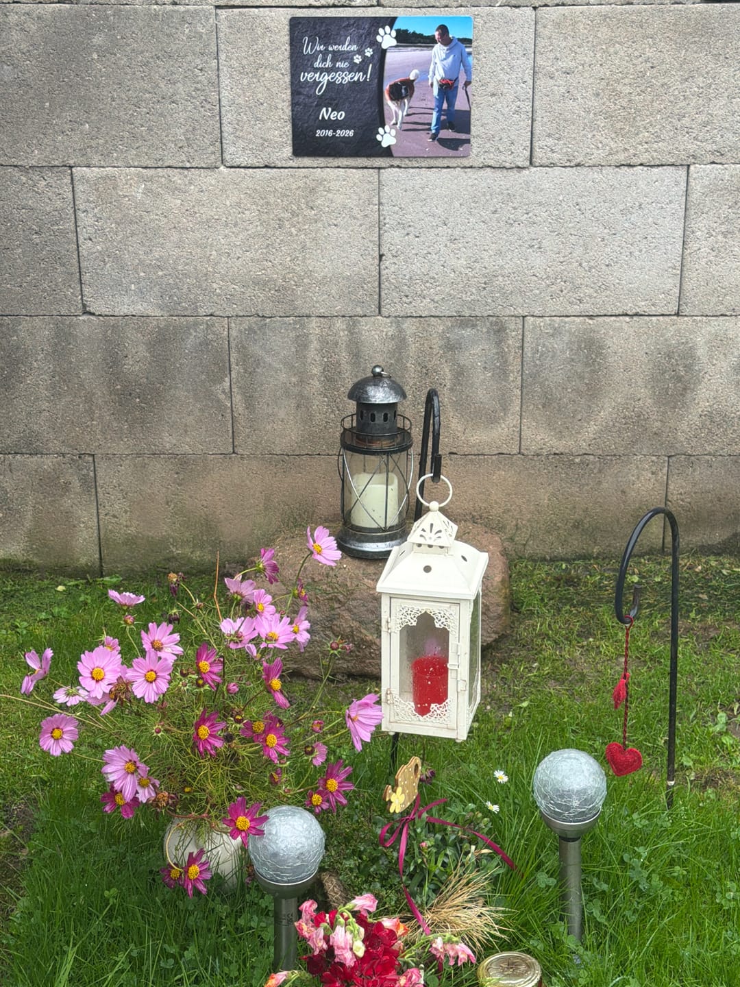 Customer photo review of Hunde Gedenktafel mit Foto & Spruch (UV- &  Wetterfest)