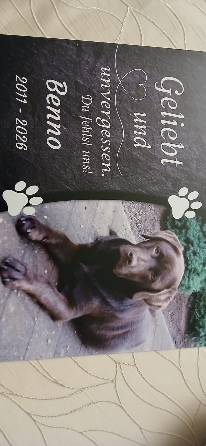 Customer photo review of Hunde Gedenktafel mit Foto & Spruch (UV- & Wetterfest)
