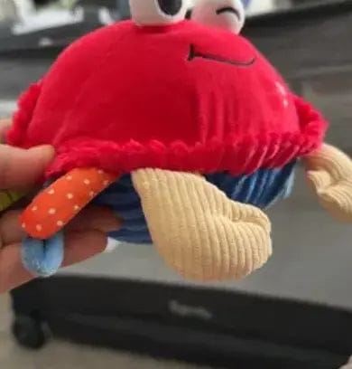 Customer photo review of Musical Dancing Crab Toy