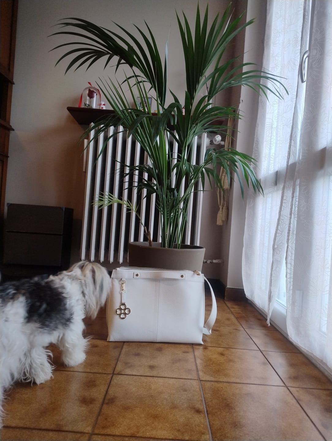 Customer photo review of BORSA SOFY PELLE BIANCO
