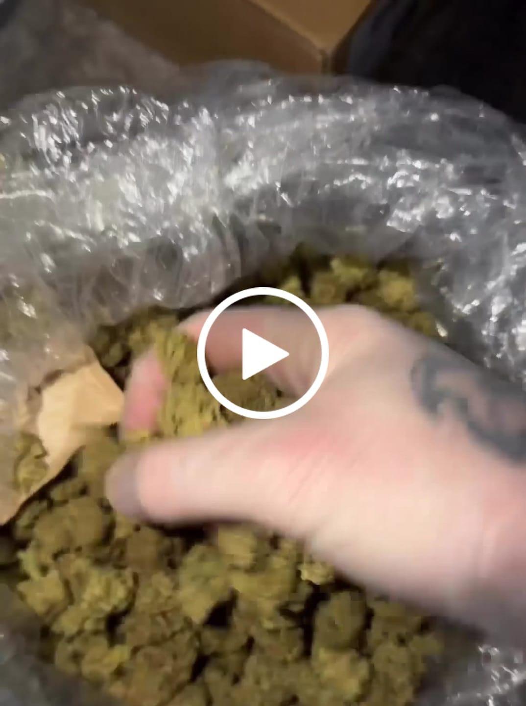 Customer video review of Candy King Light Assist THCA