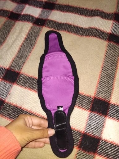 Customer photo review of Dog Anxiety Ear Cover
