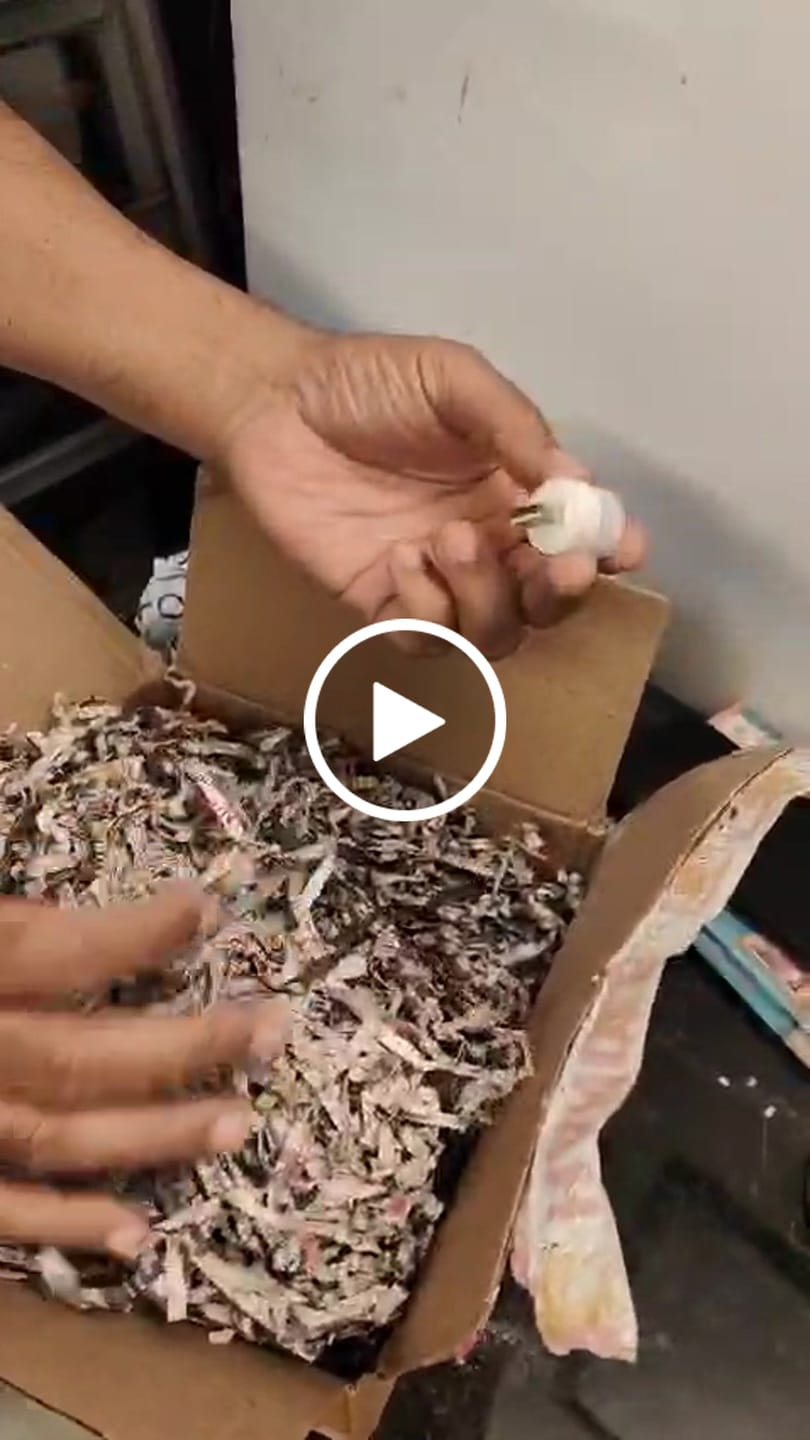 Customer video review of Dragon flame lamp