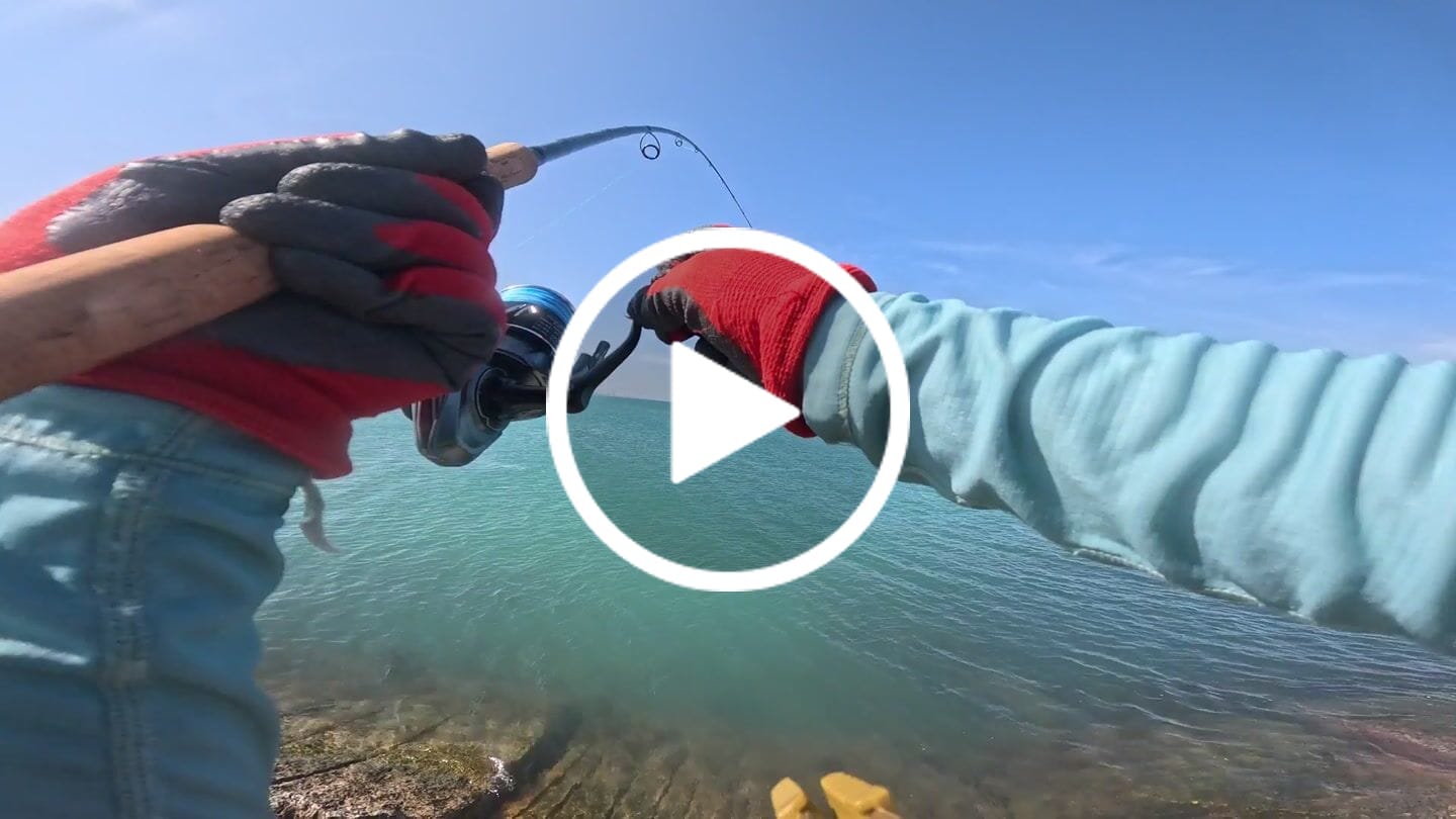 Customer video review of Carbon Shield III Spinning Rod