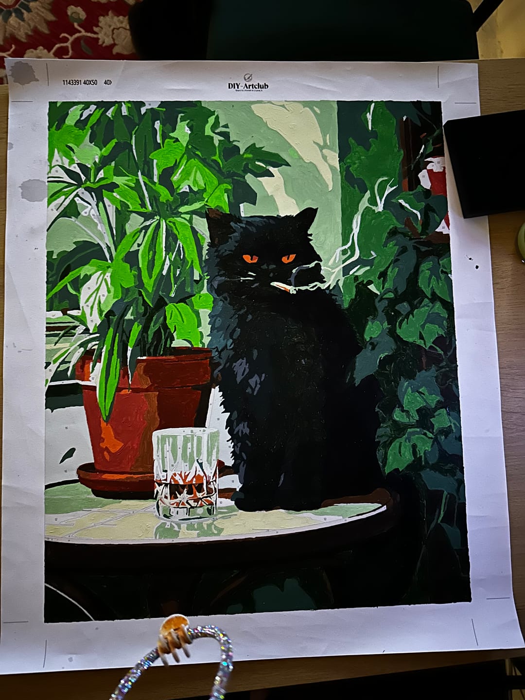 Customer photo review of Grumpy cat | Paint by Number