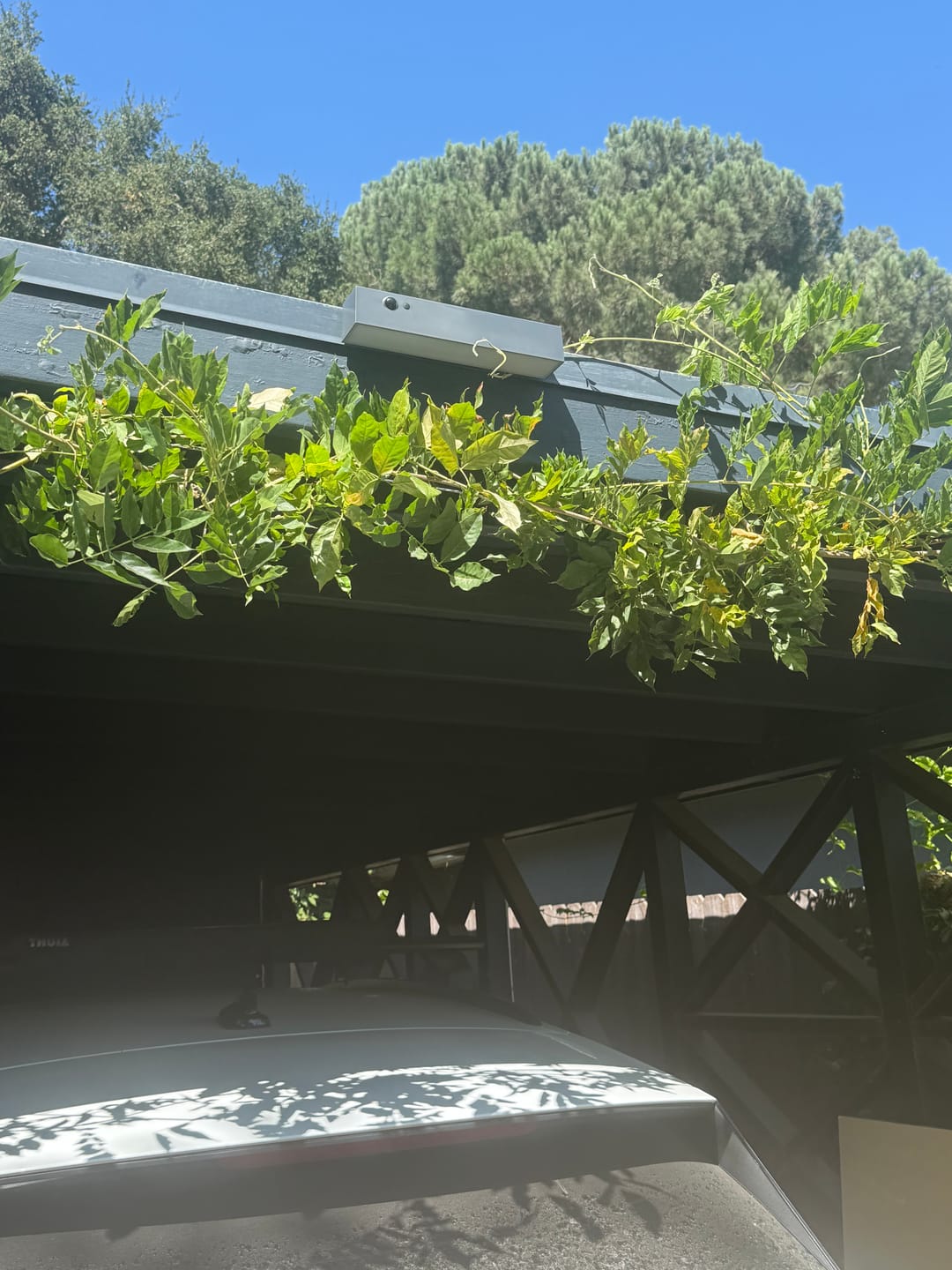 Customer photo review of Solar Wall Light with Motion Sensor