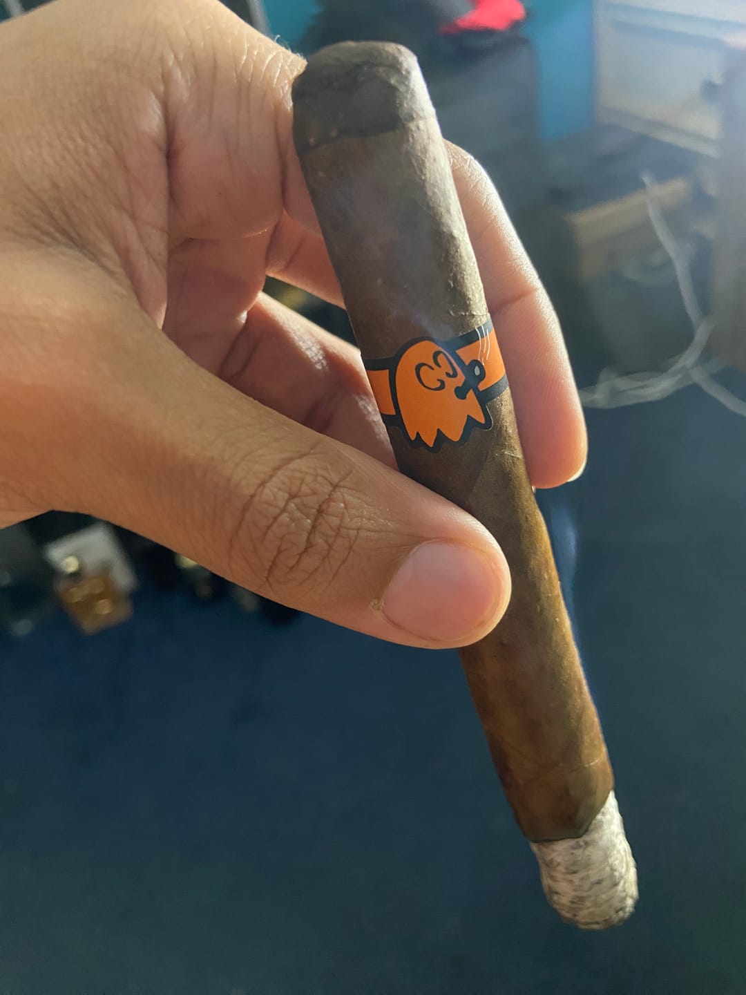 Customer photo review of The Mascot Sampler