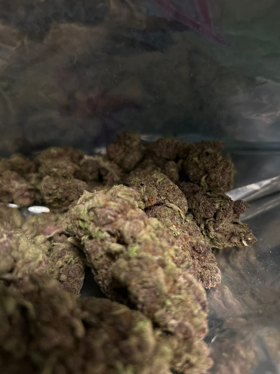 Customer photo review of Tropicana Cherry THCA Flower