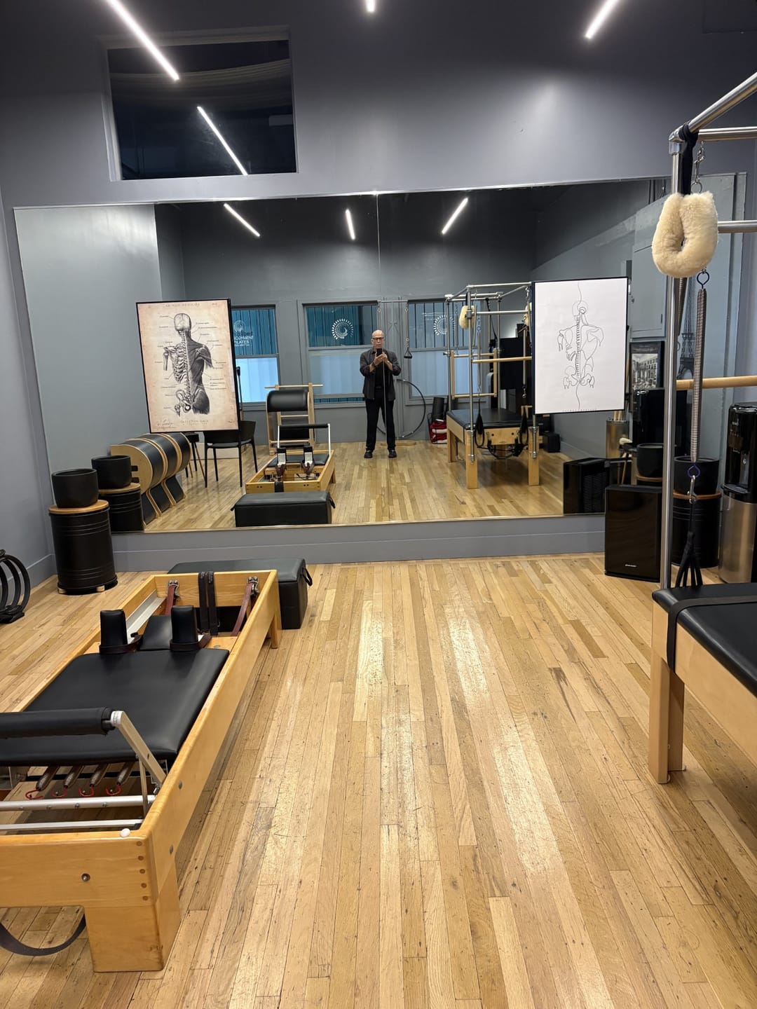 Customer photo review of Back Anatomy | Bones and Muscles